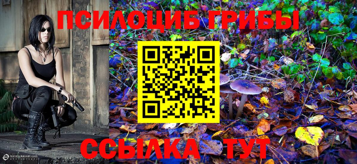 Псилоцибиновые грибы Magic Shrooms  Вход с VPN  Соликамск 
